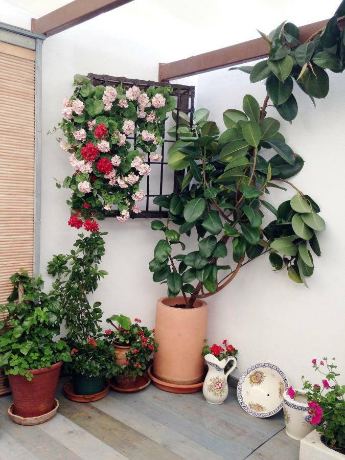 Patio San Lorenzo Cordova Esterno foto